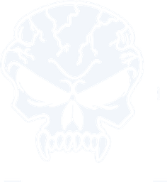 Punishers Guardian skull logo